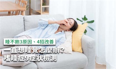 睡覺想起來起不來|想睡卻睡不著？先搞定你的恆定系統！身心科醫師教你…